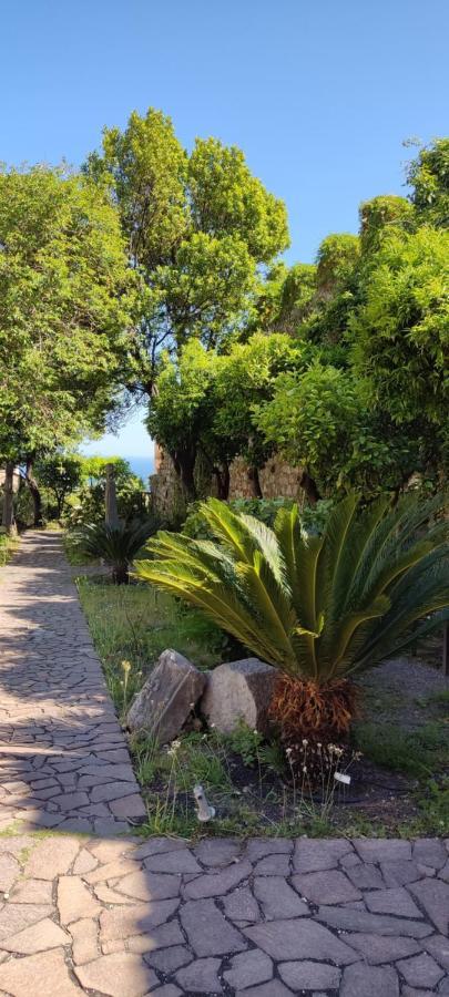 B&B Akropolis Taormina Ngoại thất bức ảnh